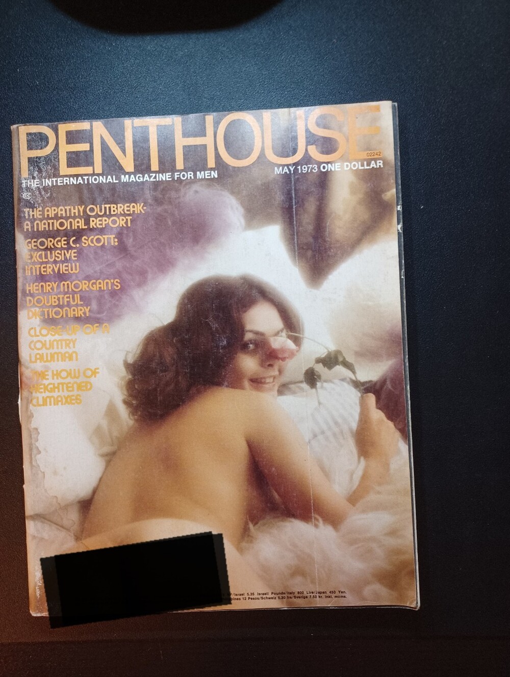 Magazine Featuring Sandi Greco
